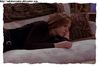 Photographs of Jennifer Aniston :  Season Three  Top rated Picture 27  of  160