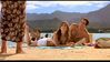Photographs of Jennifer Aniston :  2004 - Along Came Polly  Screencaps Picture 102  of  107
