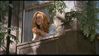 Photographs of Jennifer Aniston :  1998 - The Object of My Affection  Screencaps Picture 12  of  22