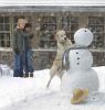 Latest Photographs of Jennifer Aniston -   Stills -  2008 - Marley & Me  Last additions - 2008 - Marley & Me