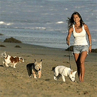 Norman And Dolly on the beach with Jennifer in Malibu - The King Charles Spaniel is Courteney Cox�s